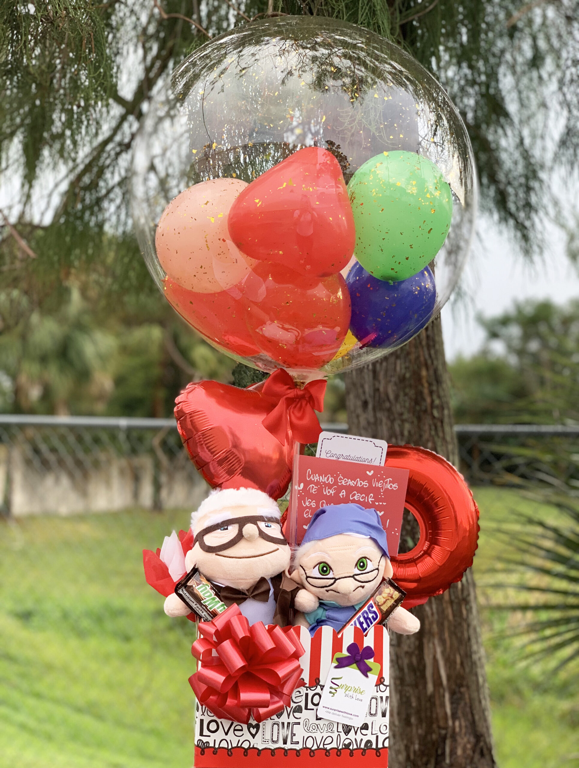 Up Love Valentine's